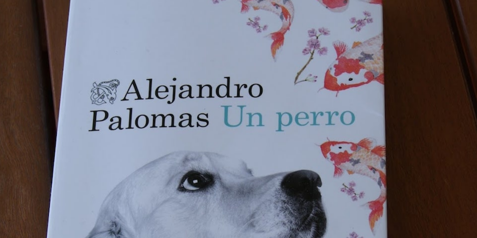 perchè amo alejandro palomas