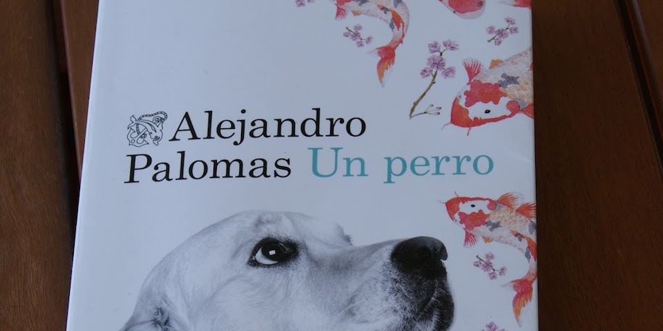 perchè amo alejandro palomas